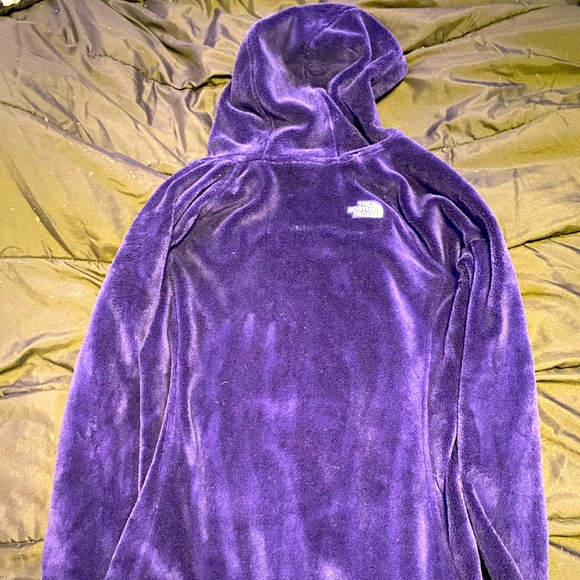 Northface fleece hoodie, Sz L - Picture 2 of 3